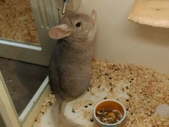 -龙猫仔乐园(惠福东路店)