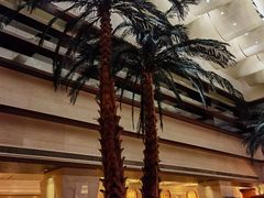 -喜来登酒店-盛宴标帜餐厅