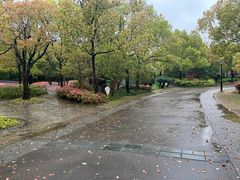 -黄兴公园