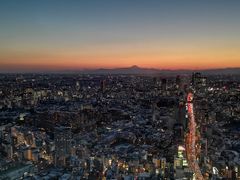 -六本木新城展望台(东京城市景观)