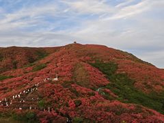 -大围山国家森林公园