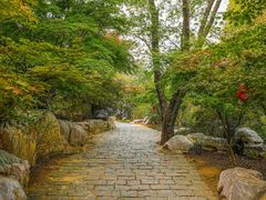 -大伊山景区