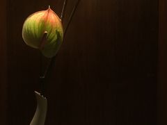-青花餐厅(雅谷泉山庄酒店)