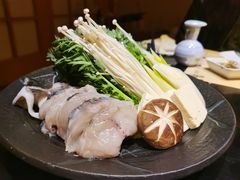 -鲤·鮨KOISUSHI