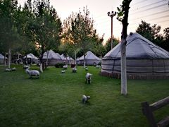 -九十九顶毡房(阜石路店)