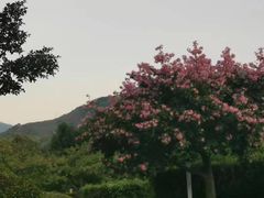 -大理洱源西湖景区