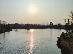 -三垟湿地