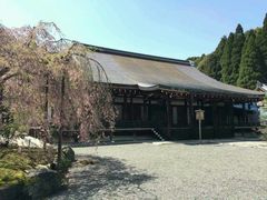 -西芳寺(苔寺)