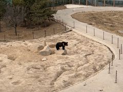 -青藏高原野生动物园