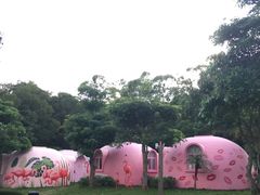 -漳州滨海火山岛自然生态风景区