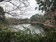 -王借岗森林公园