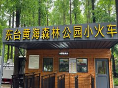 -黄海国家森林公园