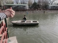 -尚庄度假村·庭台树下·户外烧烤·团建CS·轰趴营地(上庄水库店)