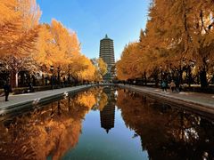 -玲珑塔公园