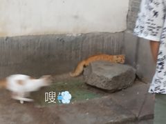-莲湖公园
