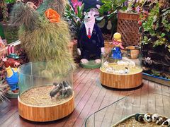 -正佳雨林生态植物园