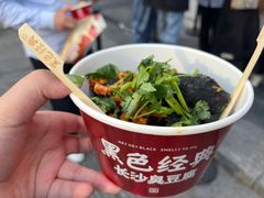 -黑色经典臭豆腐·湖南特产(坡子街店)