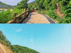 -东澳岛