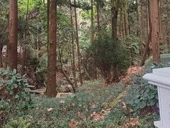 -含鄱口