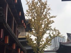 -香积寺