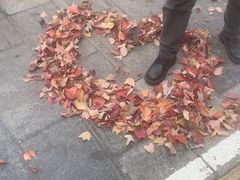 -野菌园·野生菌火锅首创第一家(关兴路总店)