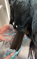 点击看大图 -3AM HAIR SALON烫发染发接发