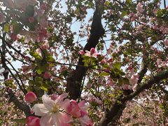 -元大都城垣遗址公园