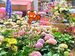 -上海长风大悦城