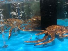 -麦德龙(郑东店)