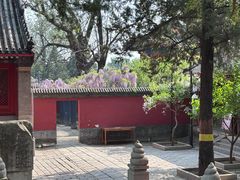 -红螺寺