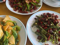 -鹤乡东北菜(崮山路店)