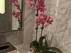 -上海嘉定喜来登酒店