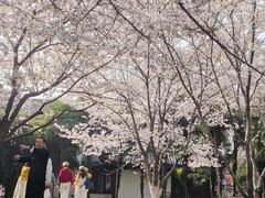 -堤角公园