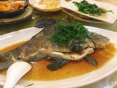 蒸丁贵鱼-乡村酒家·湖景客家菜(观澜店)