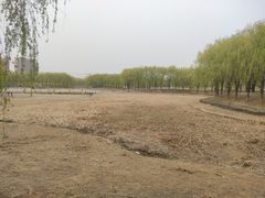-东坝千亩湖公园