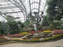 -南山植物园