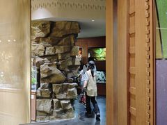 -帕帕拉兹宠物(亚洲旗舰店)