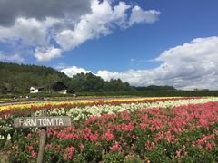 -富田农场