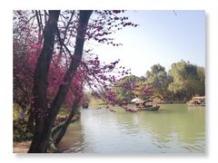 -西溪国家湿地公园