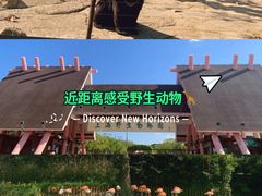 -上海野生动物园
