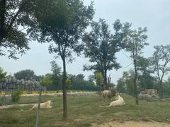 -秦皇岛野生动物园