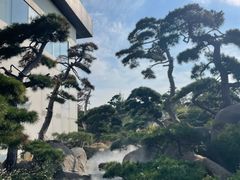 -罗红摄影艺术馆