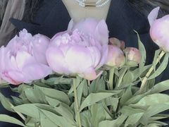 -循礼门鲜花花市(武汉循礼门店)