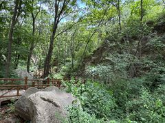 -大岭沟猕猴桃谷风景区