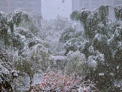 -西安电影制片厂