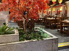 -杨记隆府重庆江湖菜(大悦城店)