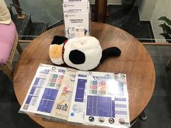 -宠爱国际动物医院·疑难骨科·心肾内科·皮肤科(太阳宫店)