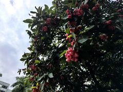 -番禺宾馆丽苑厅