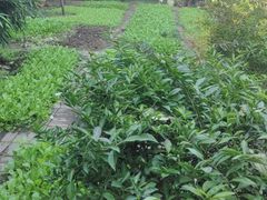 -故乡缘·香格里拉山庄(冷竹路店)
