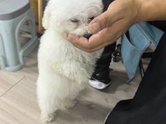 -韩湘水博园